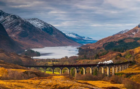 Train, Scotland, viaduct, Glenfinnan