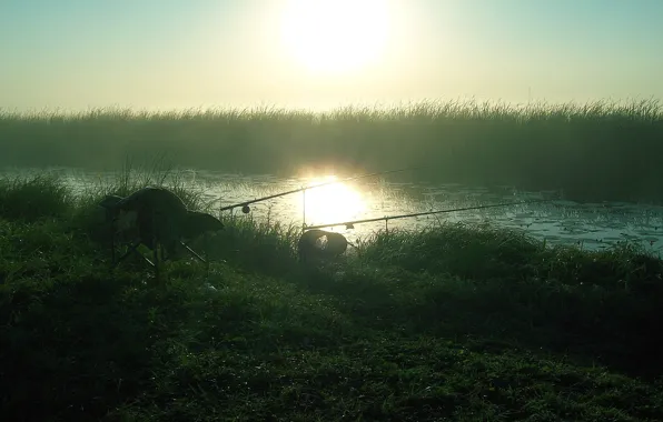 Dawn, fishing, morning, River, reed, fishing rods, dawn, Siberia