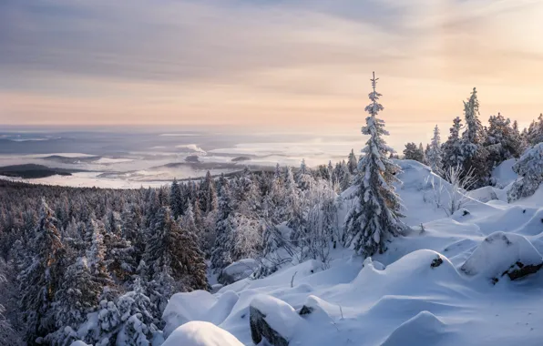 Winter, frost, forest, clouds, snow, stones, view, dal
