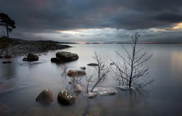 Landscape, night, lake