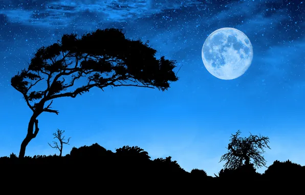 Picture landscape, night, the moon, silhouettes