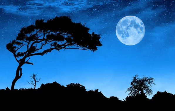 Landscape, night, the moon, silhouette