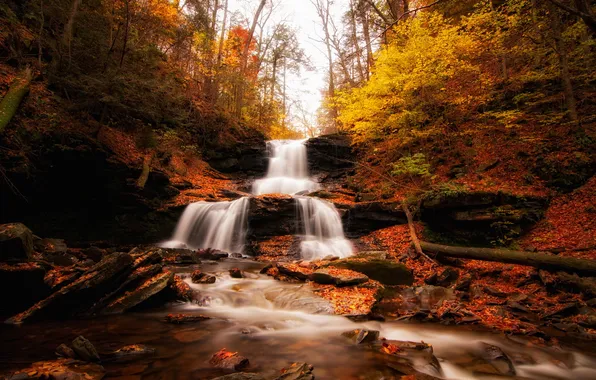 Autumn, forest, river