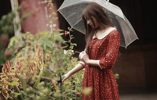 Girl, face, umbrella, rain, hair, dress