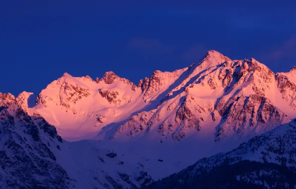 Picture winter, the sky, snow, trees, mountains, nature, rocks, dawn