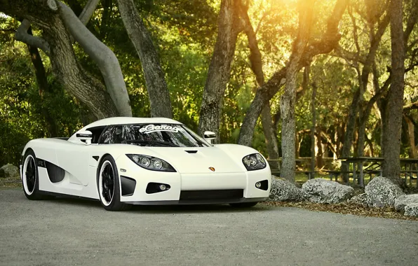 White, koenigsegg, ccx, egarage