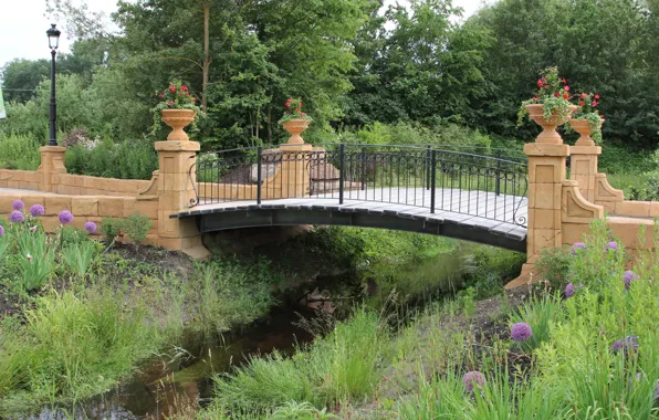 Picture Nature, Grass, Spring, Park, Nature, Grass, Bridge, Water