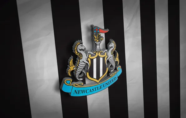 Picture wallpaper, football, Premier League, England, Sport, Newcastle United, 3D logo