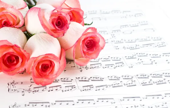 Picture flowers, notes, roses, pink, buds