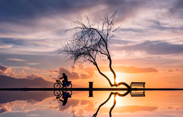Sunset, bike, reflection, tree, woman, silhouettes