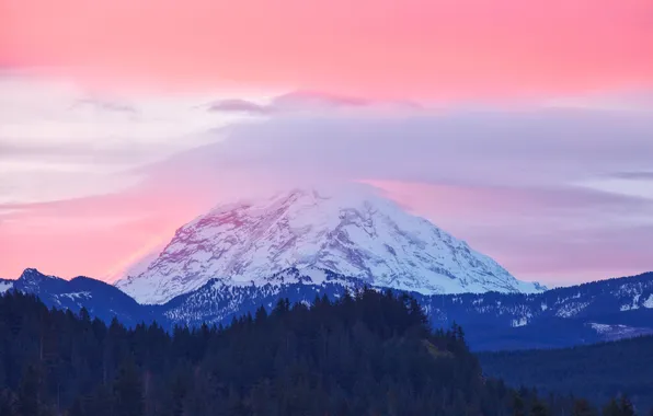 Forest, Mountain, pink sky, Snow peak