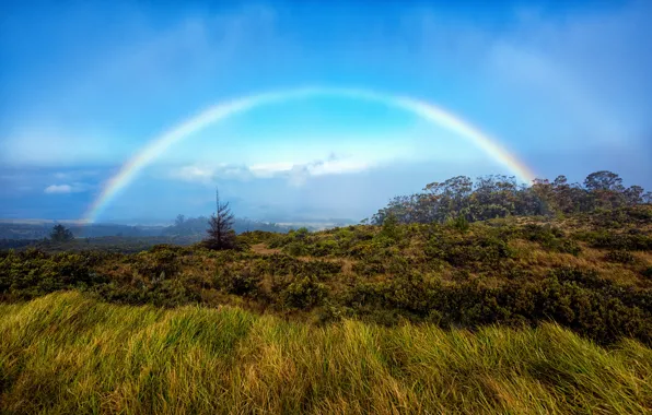 The sky, trees, mountains, rainbow, Hawaii, rainbow, Maui, National park