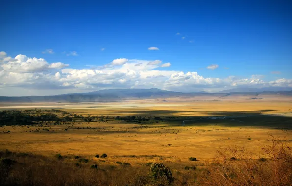 Field, the sky, clouds, the steppe, river, dal, space, Savana