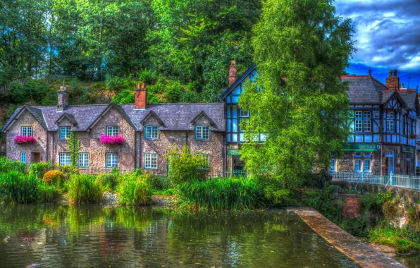 Picture greens, trees, house, pond, the reeds, England, treatment, the bushes