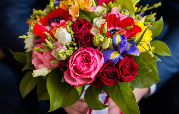 Picture roses, bouquet, irises, eustoma