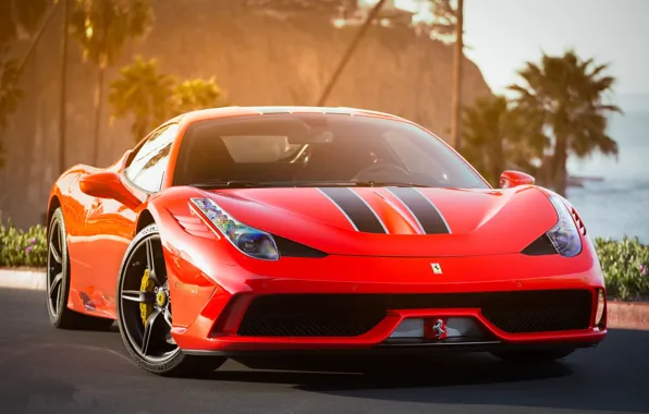 Strip, the hood, red, ferrari, Ferrari, the front, 458 speciale