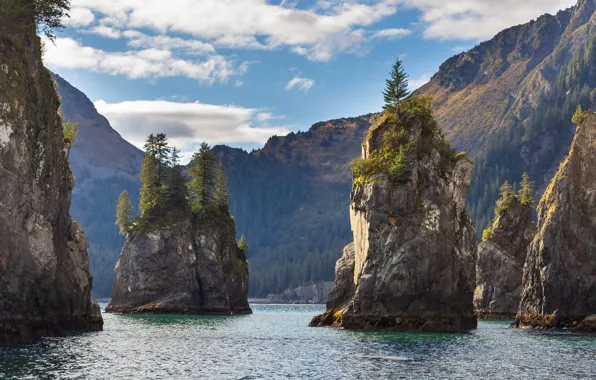 Picture the sky, water, clouds, trees, mountains, nature, the ocean, rocks