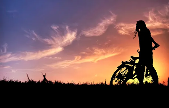 Summer, the sky, sunset, silhouette