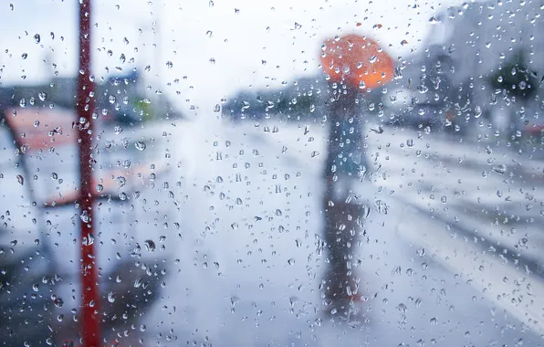 Glass, girl, rain, mood, umbrella