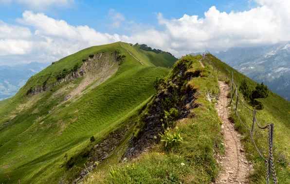 Nature, Mountains, Switzerland, Alps, Trail, Landscape, Top