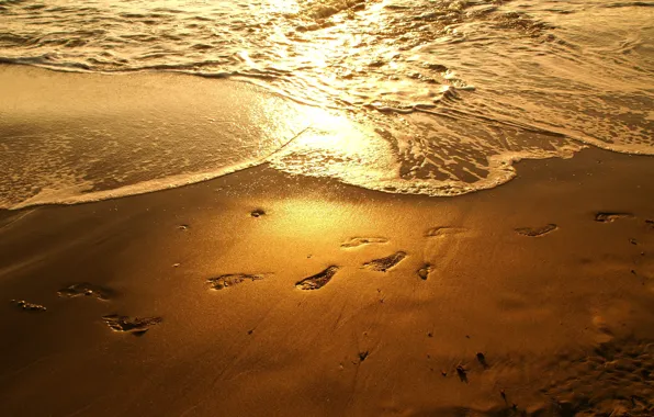 Sea, beach, sunset, traces, reflection, the evening