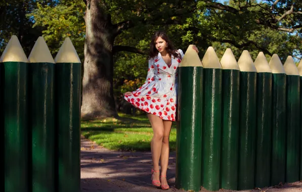 Picture the fence, dress, Audrey