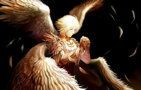 The dark background, wings, angel, feathers, art, guy, tachikawa mushimaro