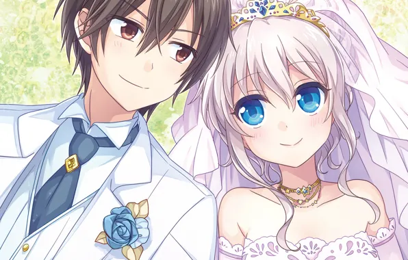 Anime, art, pair, wedding, Charlotte