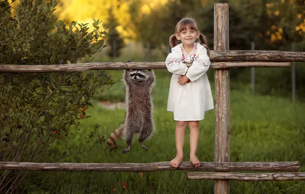 Girl, raccoon, funny, the fence
