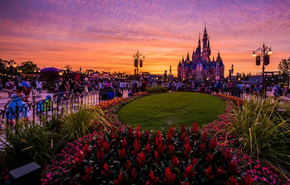 Flowers, Castle, Park, Landscape, Disneyland, Entertainments