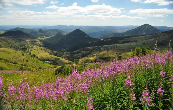 Summer, clouds, flowers, mountains, hills, view, dal, slope