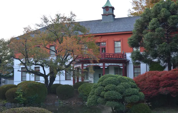 Autumn, Japan, Japan, Autumn, Medical School, Medical school