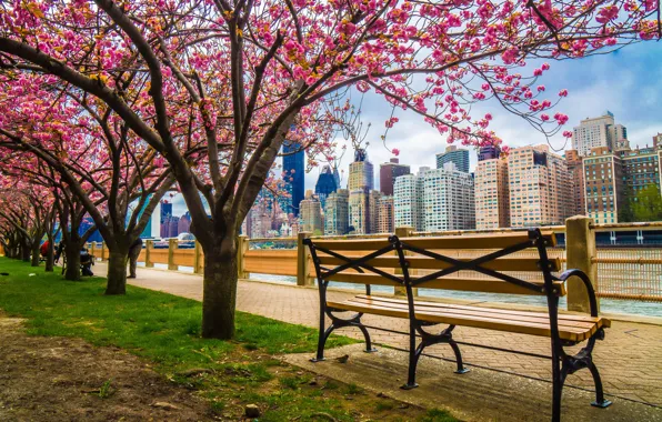 Trees, the city, building, home, spring, New York, USA, benches