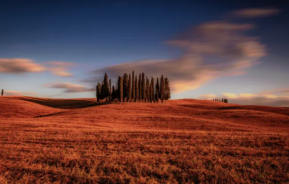 Field, clouds, trees, Italy, Italy, cypress, Tuscany, Tuscany
