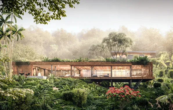 The sky, flowers, jungle, structure, ART Muse