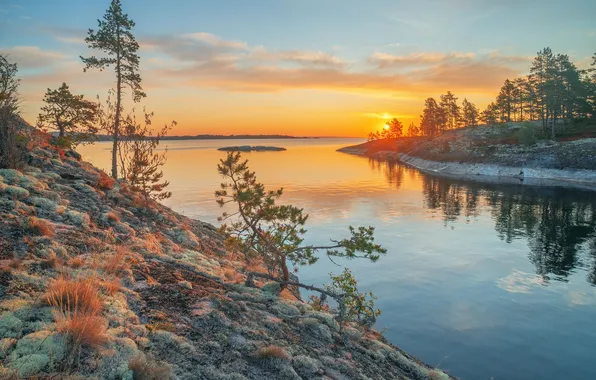 Forest, the sky, clouds, light, sunset, reflection, stones, shore