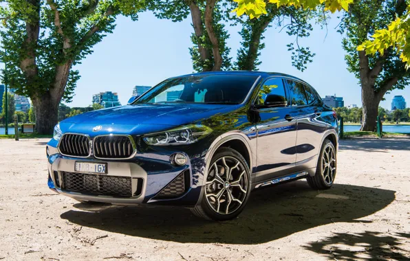 Picture BMW, BMW, crossover, SUV, F39