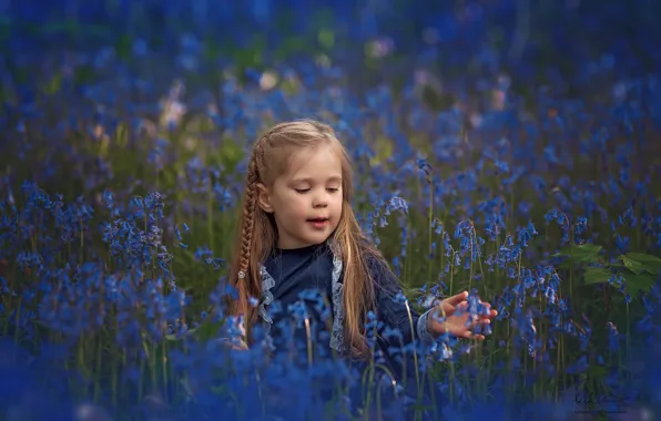 Picture flowers, meadow, girl, bells, pigtail, bokeh