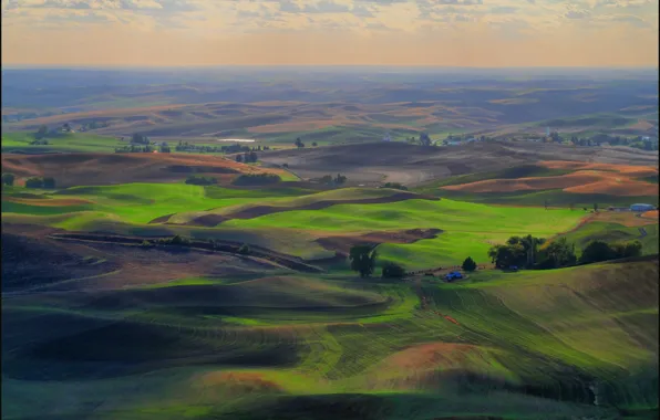 Wallpaper grass, hills, field, meadow, the countryside, green, arable ...