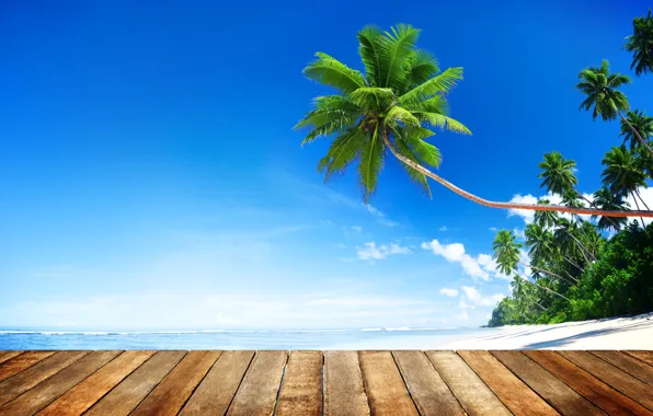 Picture sand, sea, beach, summer, the sky, the sun, palm trees, shore