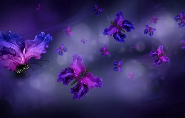 Picture butterfly, petals, water, purple, butterflies, floral