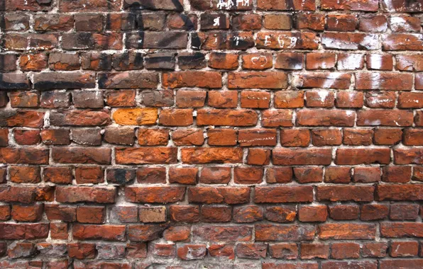 Picture wall, Red, bricks, pattern