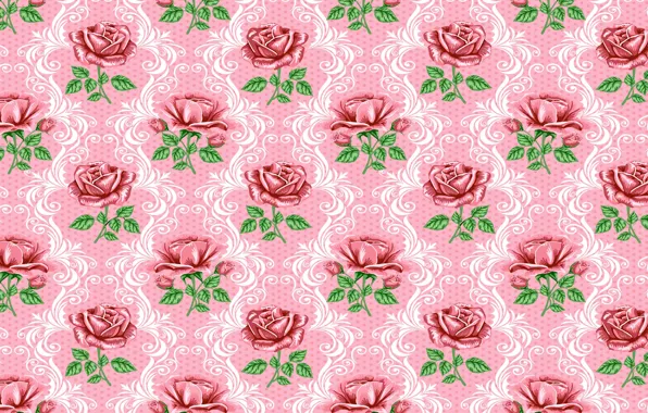 Flower, leaves, flowers, background, widescreen, Wallpaper, rose, texture