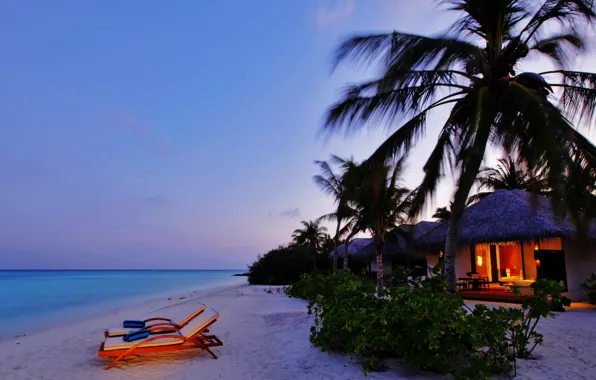 Picture beach, palm trees, the ocean, the evening, Bungalow