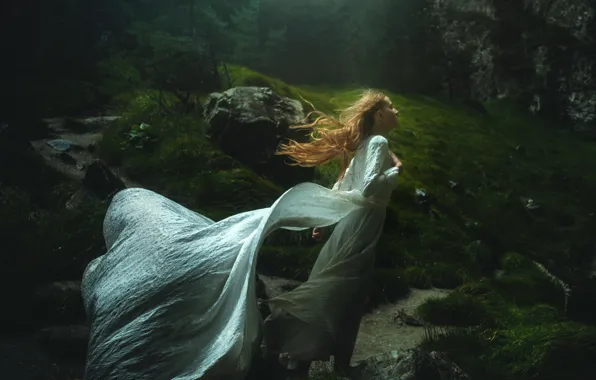 Picture forest, girl, dress, TJ Drysdale, Windswept