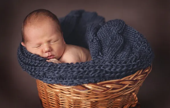 Picture mood, basket, baby