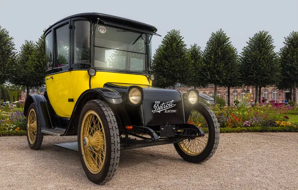 Retro, Park, Detroit Electric