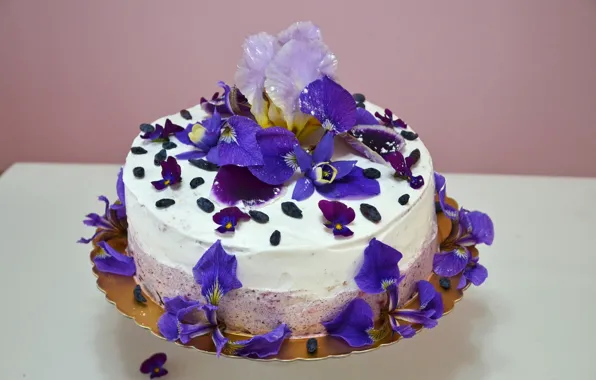 Flowers, food, cake, decoration, irises, cream, sweet, violet