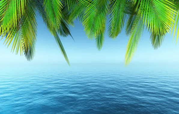 Wallpaper sea, beach, summer, the sky, palm trees, summer, beach, sea ...