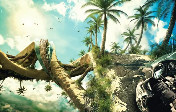 Picture palm trees, spiral, Motorcycle